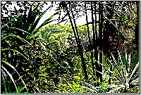 Plonsen - nr. 0192